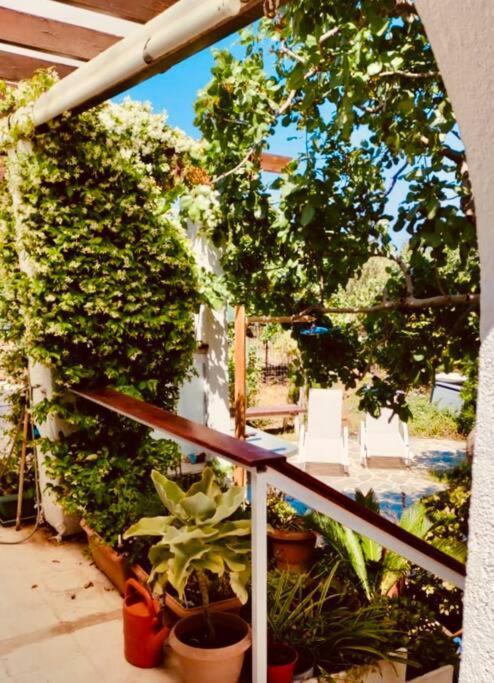 Apartment Palmtree House