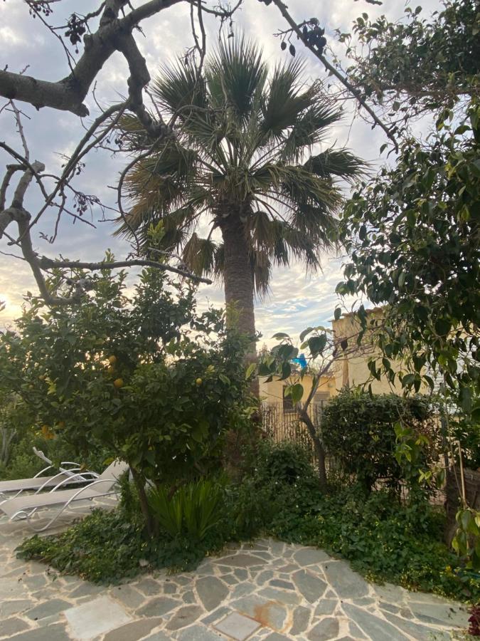 Apartment Palmtree House